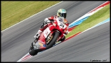 Bayliss_3535