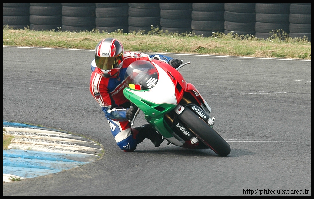 Froggy_3769