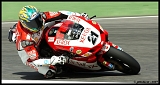 Bayliss_0314
